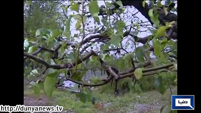 Dunya News - Hailstorm destroy crops in China
