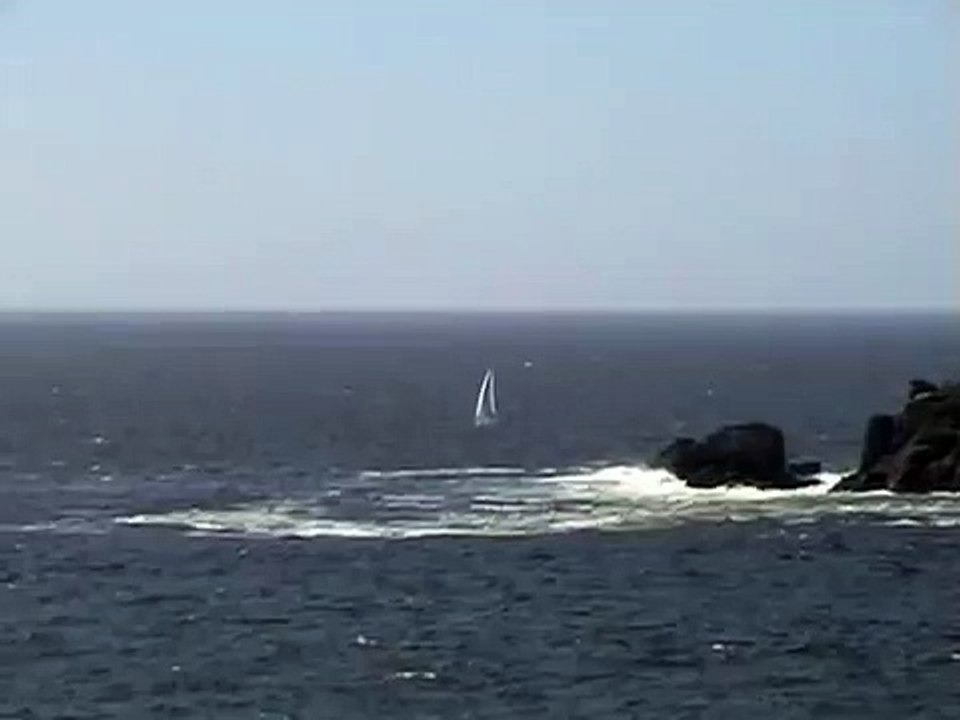 LA MAROLA