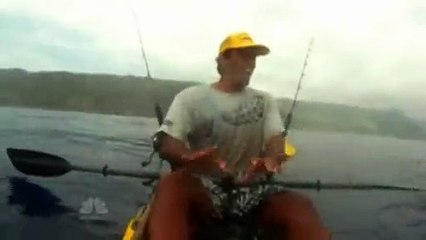 Reel horror,7 scary shark sightings of 2013 in 60 seconds. - YouTube