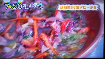 【20150309ZIP】後半_世界極限アーティスト番宣