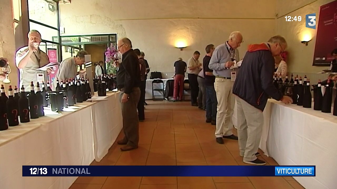 Le renouveau des vignes du Languedoc