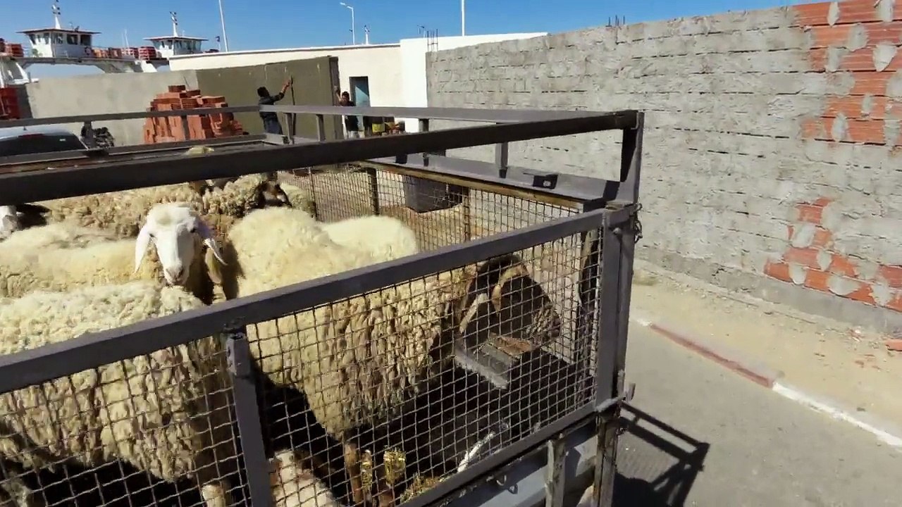 Skaten auf Djerba - Tour in den Südwesten