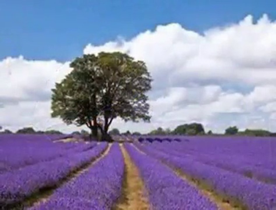 Evasion dans l'apaisement :)