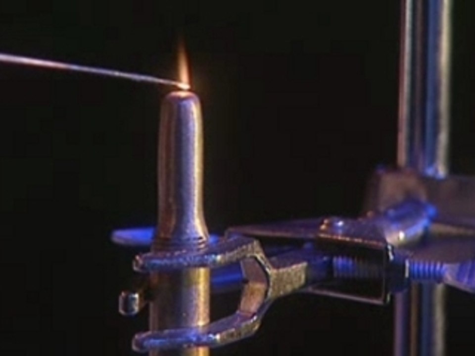 Free Energy - Xogen