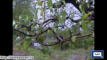 Hailstorm destroy crops in China