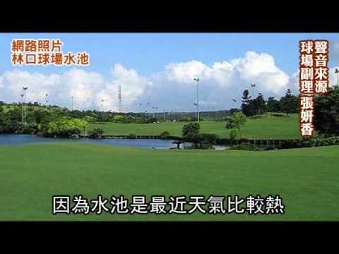 35度C熱昏 女桿弟墜池亡 2011.06.20
