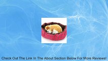 Fashion Soft Cotton Fleece Pet Dog Puppy Cat Warm Bed House Plush Cozy Nest Mat Pad Pet Bed Rose Red Review
