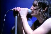 Nine Inch Nails feat David Bowie - Hurt (live) (1995)