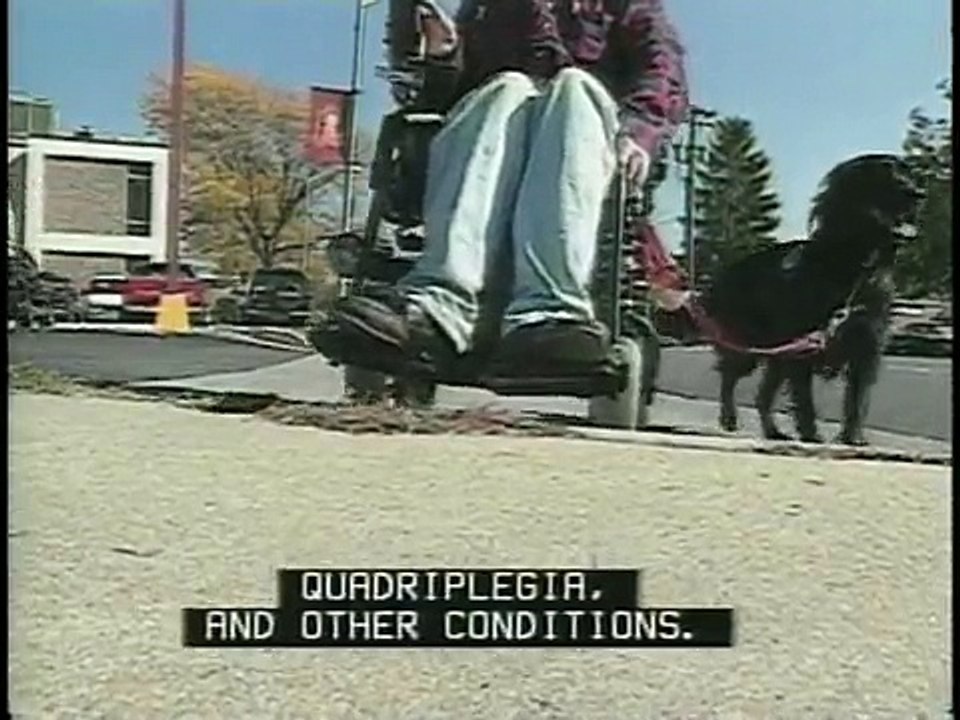 Accessible Sidewalks: Pedestrians who use Wheelchairs