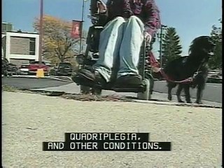 Accessible Sidewalks: Pedestrians who use Wheelchairs
