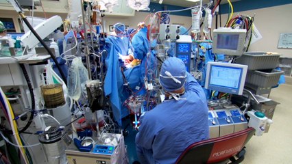 Mayo clinic expert sheds light on the ultimate gift