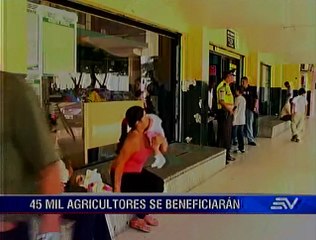 Agricultores se acogen a nueva ley de condonación de intereses