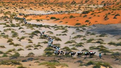 أغنية جميلة للطوارق Touareg song