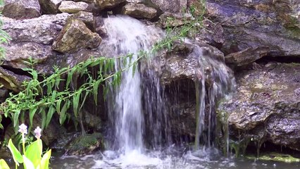 Le Jardin des Plumes à Giverny, une cuisine impressionniste