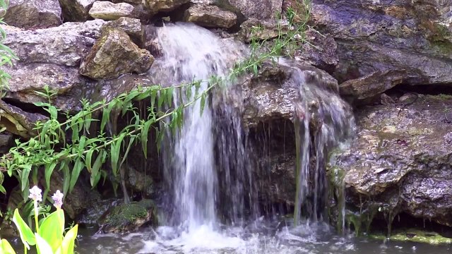 Le Jardin des Plumes à Giverny, une cuisine impressionniste