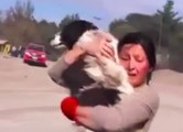 Reencuentro entre una mujer y su perro tras erupción del volcán Calbuco