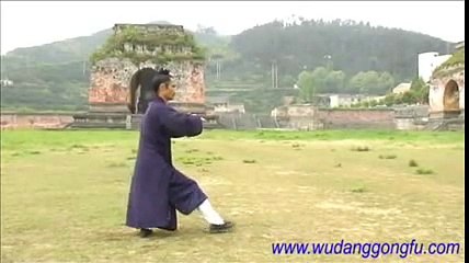 Wudang Taiji 13 (武当太极13势) - Master Yuan Xiu Gang (袁修刚)