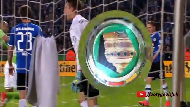 Arminia Bielefeld vs Wolfsburg 0-4 All Goals and Highlights 2015