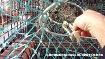 How A lobster Trap Catches Lobsters