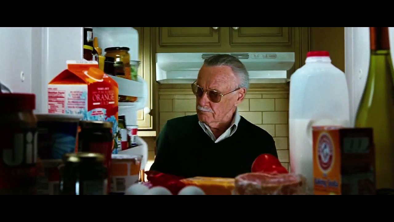 Stan Lee Cameo School