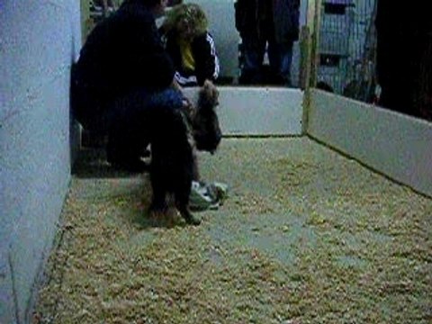 attention ! je mords !