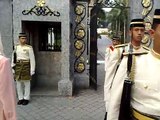Changing of Guards (Royal Palace)