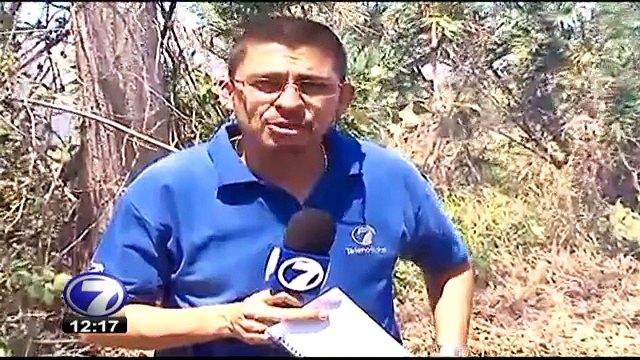 tn7-paloverde-110215