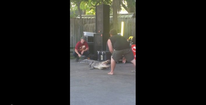 Un homme mordu par un alligator