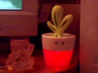 CACTUS USB diffuseur huiles essentielles