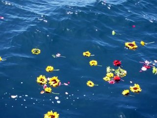 "Elegy Written in a Country Churchyard" (by Thomas Gray; music by James Newton Howard)