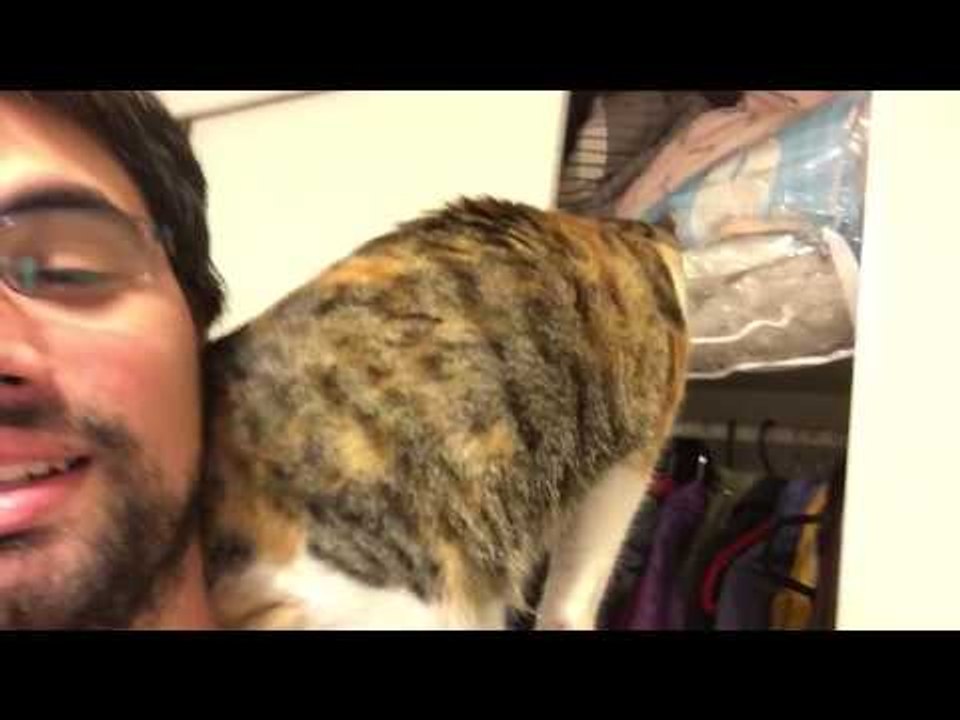 @Vardoc Random Life ( Parte 706 ) : Peladin 28/04/2015