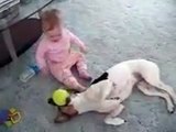 Funy Video Dog & Baby.... (Raheel Heera)