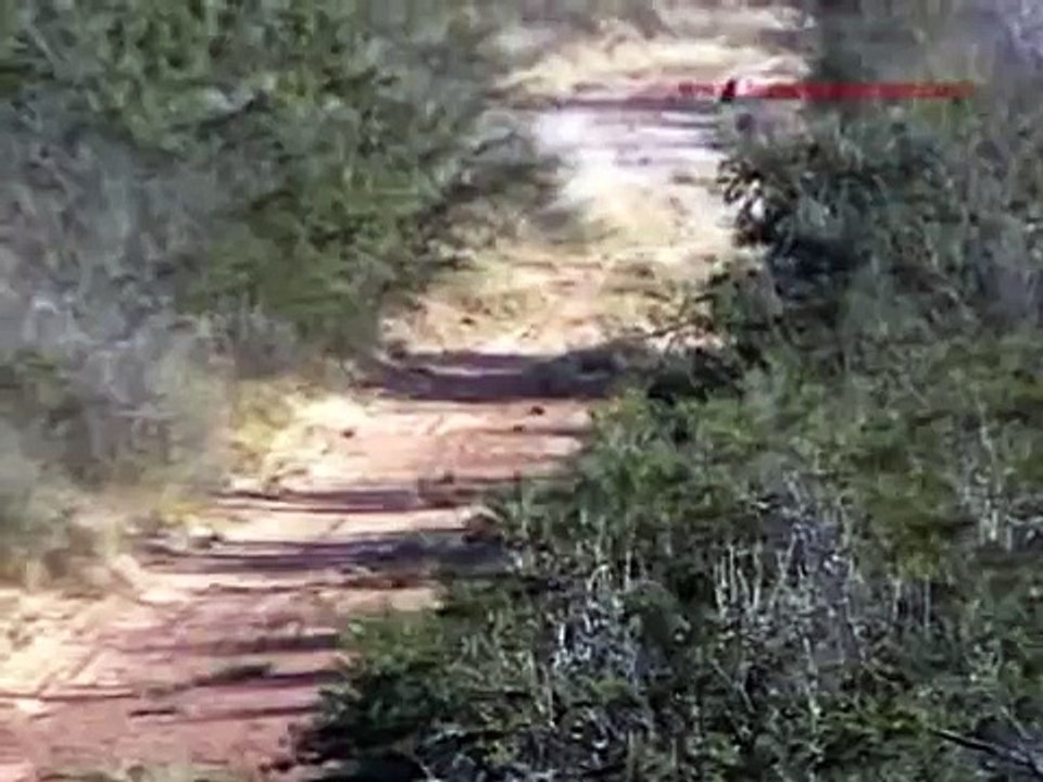 Deer Hunting - Thunderstruck