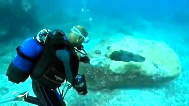 Thalassa Maurice Danse avec les murènes extrait