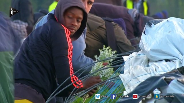 Des demandeurs d'asile cueillent du muguet pour s'intégrer