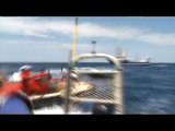 Greenpeace activists violently attacked at sea
