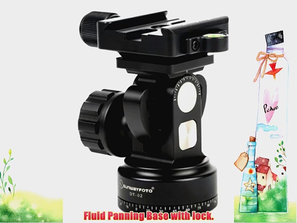 SUNWAYFOTO DT-02D50 Tripod Fluid Panning Tilt Head   50mm Screw Knob Clamp Arca Compatible