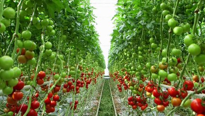 Vidéo réalisée à l'occasion des 30 ans de l'APREL