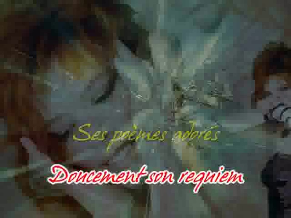 KARAOKE MYLENE FARMER - Paradis inanimé