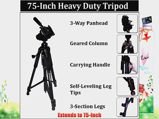 75 Professional Heavy Duty 3-Way Pan Head Tripod For Toshiba X100 X200 H30 Z100 X400 X416 HD