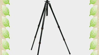 Gitzo GT3830 Series 3 Basalt 3 Section Tripod