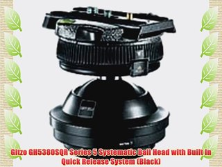 Gitzo GH5380SQR Series 5 Systematic Ball Head with Built In Quick Release System (Black)