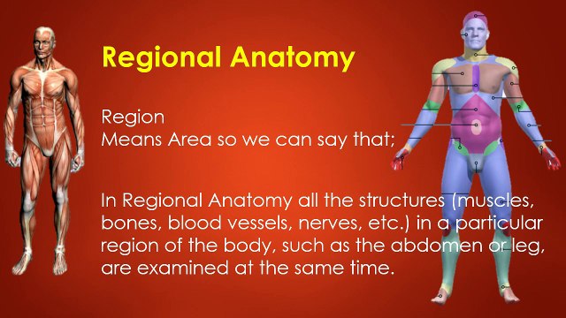 Lesson No. 01 What Is Anatomy & Physiology (Human Body)