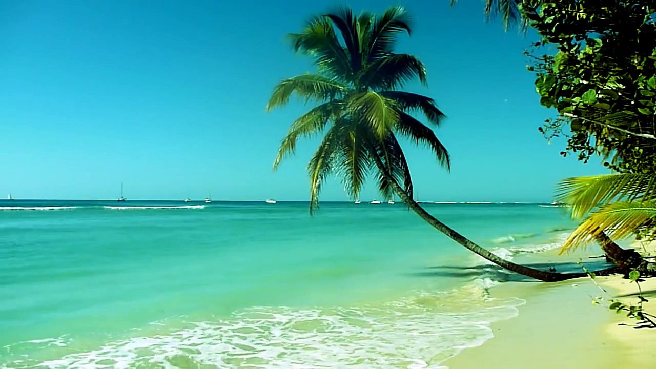 Calming Ocean Waves (Tobago)