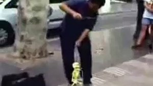 Funny Videos 21?syndication=228326