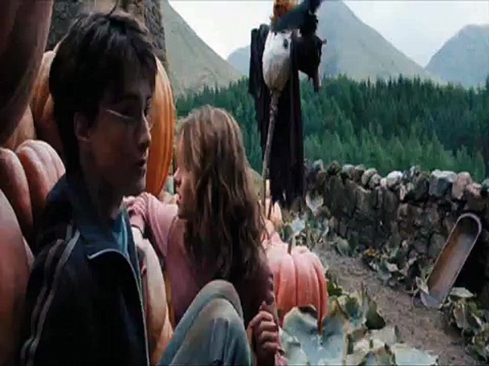 Harry & Hermione