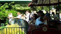 Ducks blocking the monorail train in Disneyland, Anaheim, CA