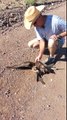 wao amazing bird was just going to be eaten by a snake while this man came and save the bird