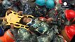 Nepal: Miracle rescues of teenager and baby bring joy amid earthquake tragedy