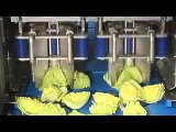 Continuous High Capacity Salad Coring, Slicing, Washing, Drying and Packing Line